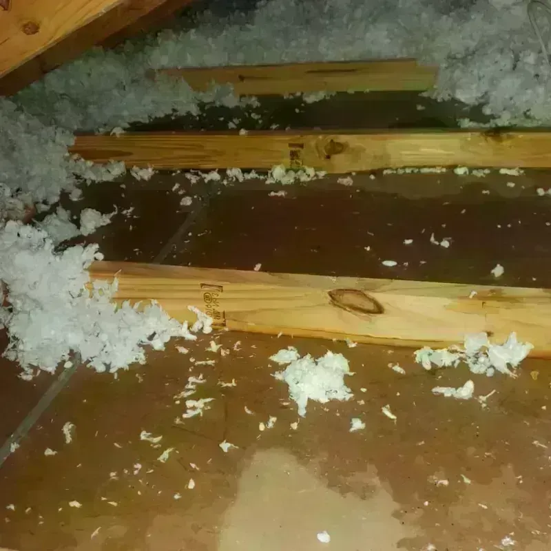 Attic Water Damage in Hamlin County, SD