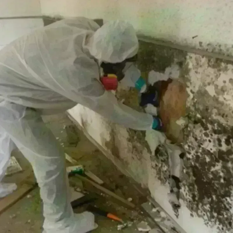 Mold Remediation and Removal in Hamlin County, SD