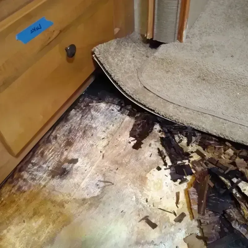 Best Wood Floor Water Damage Service in Hamlin County, SD